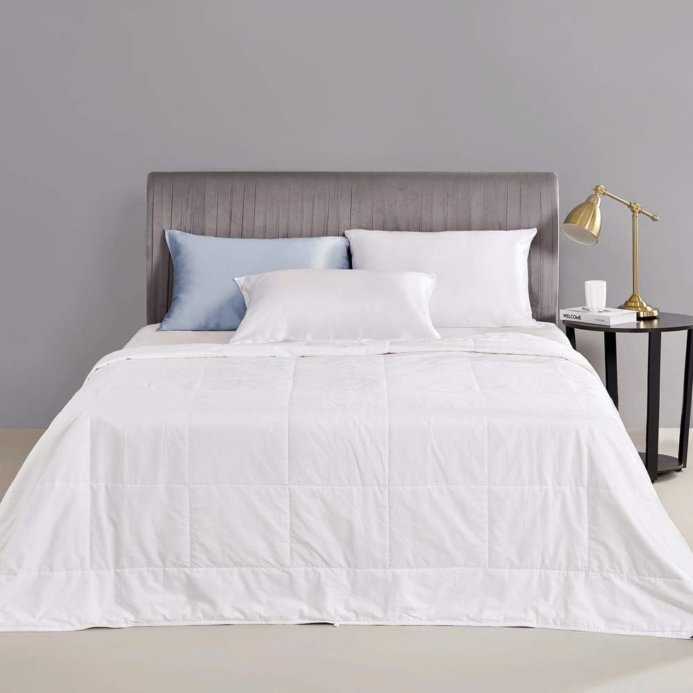 513IdXy8DfL._AC_SL1000_.jpg Silk Comforter with Cotton Shell and Long Strand Silk Floss - Image 1